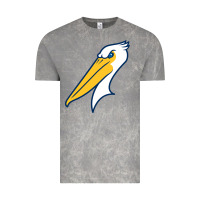 Cloud Rock myrtle beach pelicans Vintage Tee - linhVisuals