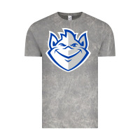 Cloud Rock the billikens Vintage Tee - linhVisuals