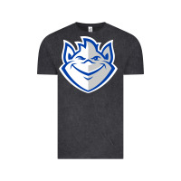 Vintage Black the billikens Vintage Tee - linhVisuals
