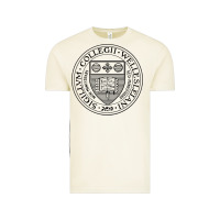 Vintage Arctic Wellesley College Vintage Tee - linhVisuals