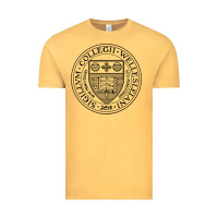 Vintage Mustard Wellesley College Vintage Tee - linhVisuals