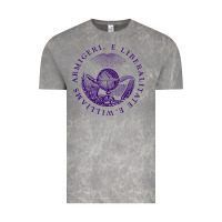 Cloud Rock Williams College Vintage Tee - linhVisuals