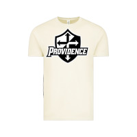 Vintage Arctic providence friars college Vintage Tee - linhVisuals