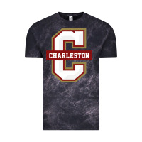 Cloud Black the charleston cougars Vintage Tee - linhVisuals