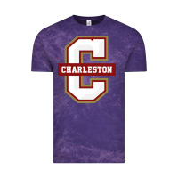 Cloud Purple the charleston cougars Vintage Tee - linhVisuals