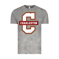 Cloud Rock the charleston cougars Vintage Tee - linhVisuals