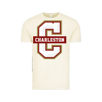 Vintage Arctic the charleston cougars Vintage Tee - linhVisuals