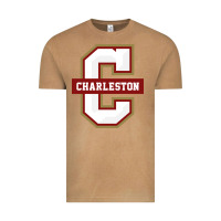 The Charleston Cougars Vintage Tee | Teevron
