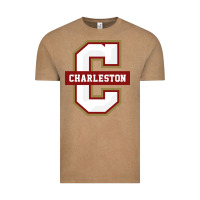 Vintage Coffee the charleston cougars Vintage Tee - linhVisuals