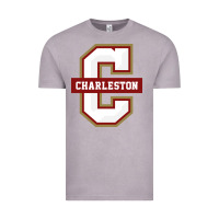Vintage Zinc the charleston cougars Vintage Tee - linhVisuals