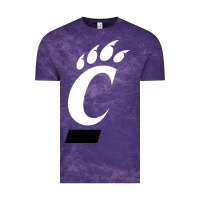 Cloud Purple the cincinnati bearcats Vintage Tee - linhVisuals