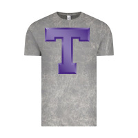 Cloud Rock tarleton state athletics Vintage Tee - linhVisuals