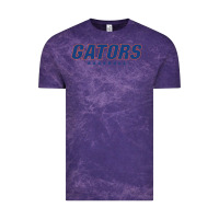 Cloud Purple GATORS BASEBALL Vintage Tee - linhVisuals
