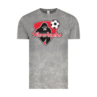 Cloud Rock atlanta silverbacks Vintage Tee - linhVisuals