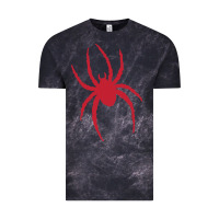 Richmond Spi Vintage Tee | Teevron
