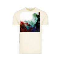 Vintage Arctic alanis morissette jagged little pill Vintage Tee - linhVisuals