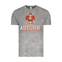 Cloud Rock auburn tigers 02 Vintage Tee - linhVisuals