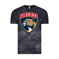 Cloud Black the-florida-panthers-pen Vintage Tee - linhVisuals