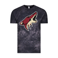 Cloud Black the-coyotes-of-arizona-sporst Vintage Tee - linhVisuals