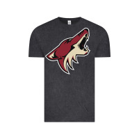 Vintage Black the-coyotes-of-arizona-sporst Vintage Tee - linhVisuals