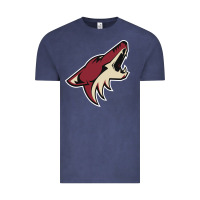 Vintage Denim the-coyotes-of-arizona-sporst Vintage Tee - linhVisuals