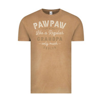 Vintage Camel Mens Pawpaw Like a Regular Grandpa Funny Fathers Day Vintage Tee - linhVisuals