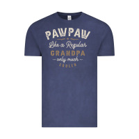 Vintage Denim Mens Pawpaw Like a Regular Grandpa Funny Fathers Day Vintage Tee - linhVisuals