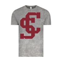 Cloud Rock santa clara br Vintage Tee - linhVisuals
