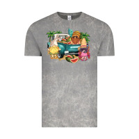 Cloud Rock summer gnomies truck Vintage Tee - NancyCooperArtShop