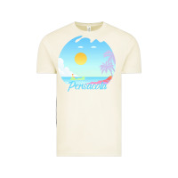 Vintage Arctic pensacola t  shirt no place like pensacola t  shirt Vintage Tee - linhVisuals
