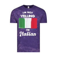I'm Not Yelling I'm Italian T Shirt Vintage Tee | Teevron