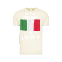 Vintage Arctic i'm not yelling i'm italian t shirt Vintage Tee - linhVisuals