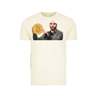 Vintage Arctic el salvador bitcoin bukele legal tender cryptocurrency btc t shirt Vintage Tee - linhVisuals