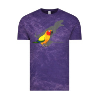 Cute Screaming Parrot, Birb Memes, Funny T Rex Sun Conure T Shirt Vintage Tee | Teevron