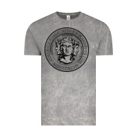 Cloud Rock city college of new york seal Vintage Tee - linhVisuals