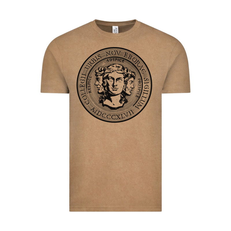 City College Of New York Seal Vintage Tee by linhVisuals | Teevron