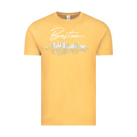 Vintage Mustard boston skyline t shirt for women, men, girls & boys Vintage Tee - linhVisuals
