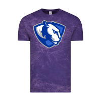 Cloud Purple The eastern illinois panthers Vintage Tee - linhVisuals