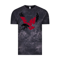 Cloud Black The eastern washington eagles Vintage Tee - linhVisuals