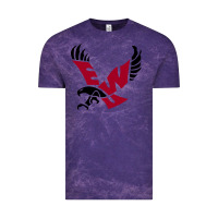 The Eastern Washington Eagles Vintage Tee | Teevron