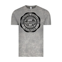 Wheaton College Illinois Vintage Tee | Teevron