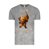 Cloud Rock can i pet dat dawg funny dog dachshund lover doxie gift t shirt Vintage Tee - linhVisuals