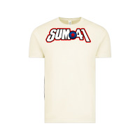 Vintage Arctic Artwork SUM41 Vintage Tee - linhVisuals