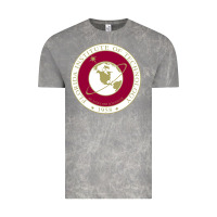Cloud Rock florida institute of technology Vintage Tee - linhVisuals