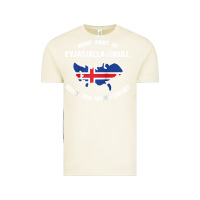 Vintage Arctic what part of eyjafjallajökull don't you understand raglan baseball te Vintage Tee - linhVisuals