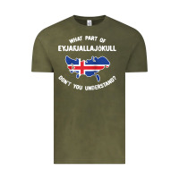 Vintage Olive what part of eyjafjallajökull don't you understand raglan baseball te Vintage Tee - linhVisuals