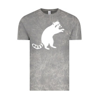 Cloud Rock raccoon Vintage Tee - linhVisuals