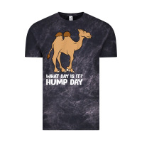 Cloud Black what day is it hump day funny camels hump day t shirt Vintage Tee - linhVisuals