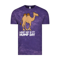 Cloud Purple what day is it hump day funny camels hump day t shirt Vintage Tee - linhVisuals