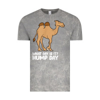 Cloud Rock what day is it hump day funny camels hump day t shirt Vintage Tee - linhVisuals